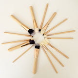 15 Makeup Brushes with Bag
